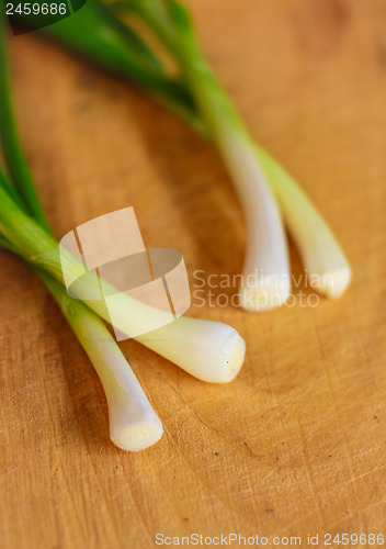 Image of Green Onion