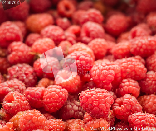 Image of Fresh Raspberries Background