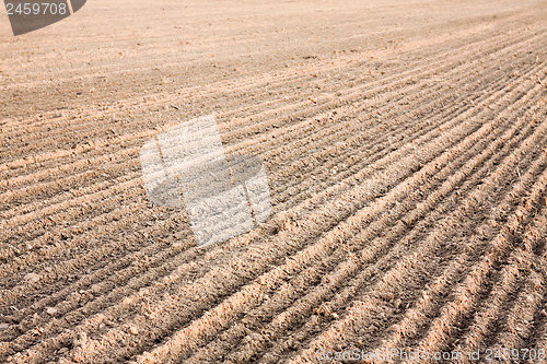 Image of Furrows in a field after plowing it. 