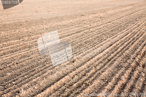 Image of Furrows in a field after plowing it. 