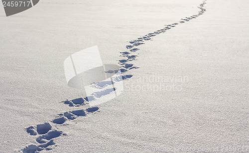 Image of Footsteps On The Snow