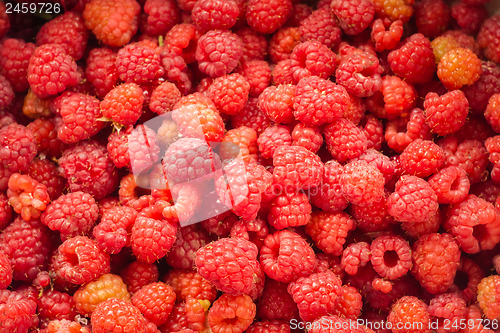 Image of Fresh Raspberries Background
