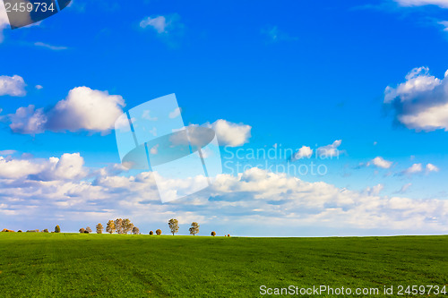 Image of Green Field