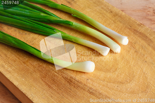 Image of Green Onion