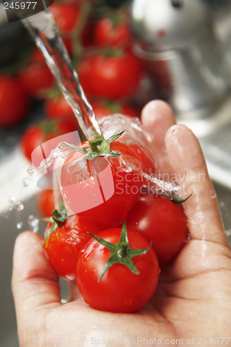 Image of Washing Tomatoes