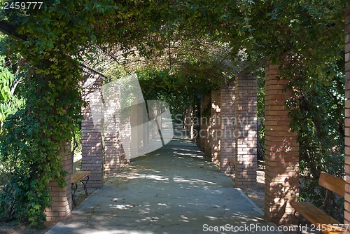 Image of Shady Alley.