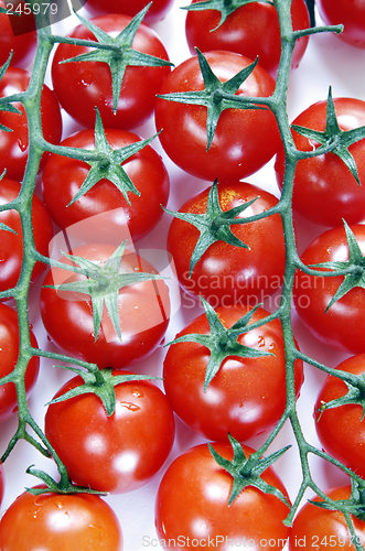 Image of Vine Tomatoes