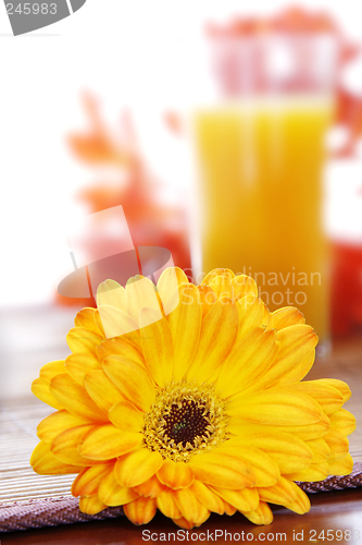 Image of Flower and drink