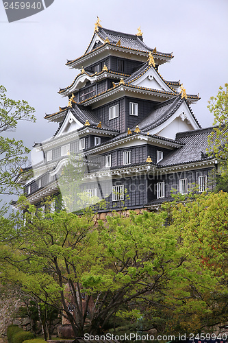 Image of Okayama castle, Japan