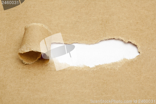 Image of Blank White Space in Torn Paper