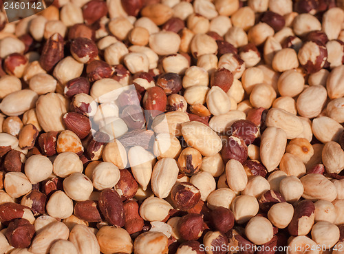 Image of Hazelnut background