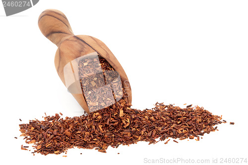 Image of Rooibos Herbal Tea