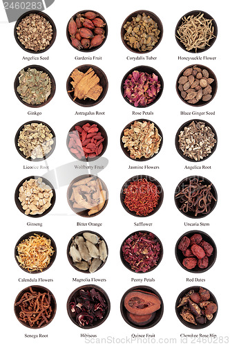 Image of Traditional Chinese Herbal Medicine