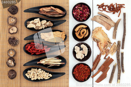 Image of Chinese Medicinal Herbs