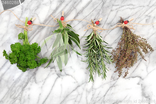 Image of Herbs Hanging and Drying