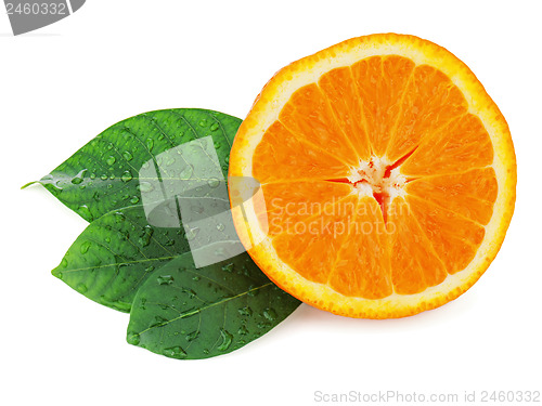 Image of Fresh orange fruit with green leaves isolated on white backgroun