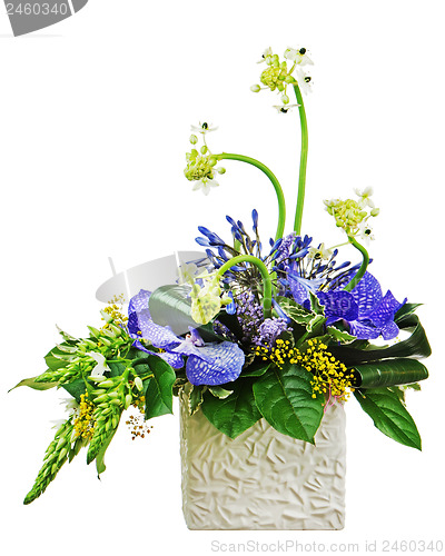 Image of Bouquet from orchids and Arabian Star flower (Ornithogalum arabi