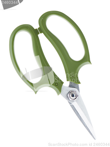 Image of Garden secateurs isolated on a white background.