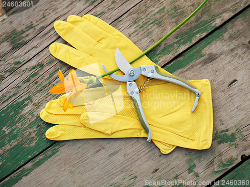 Image of Yellow rubber gloves, lily and garden pruner on wooden backgroun