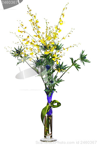 Image of  Miniature orchids and eryngium flowers in vase isolated on whit