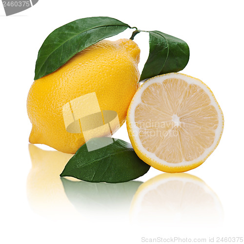 Image of fresh lemon citrus with cut and green leaves isolated on white b