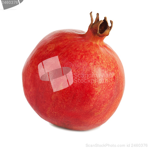 Image of Ripe pomegranate fruit isolated on white background.