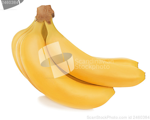 Image of Bunch of bananas isolated on white background.
