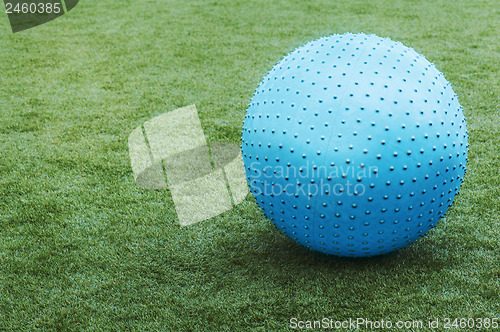 Image of Blue ball on green grass.