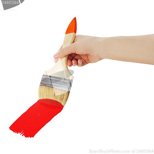Image of Female hand holding paint brush isolated on white background.