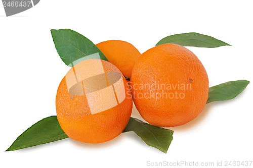 Image of Fresh tangerines with green leaves isolated on white background.