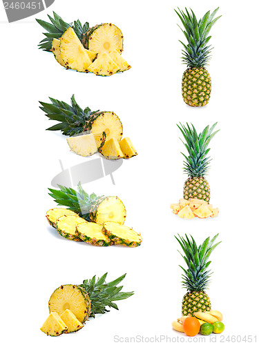 Image of Set of fresh pineapple fruits with cut isolated on white.