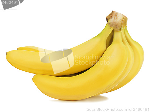 Image of Bunch of bananas isolated on white background.