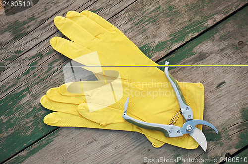 Image of Yellow rubber gloves and garden pruner on wooden background.