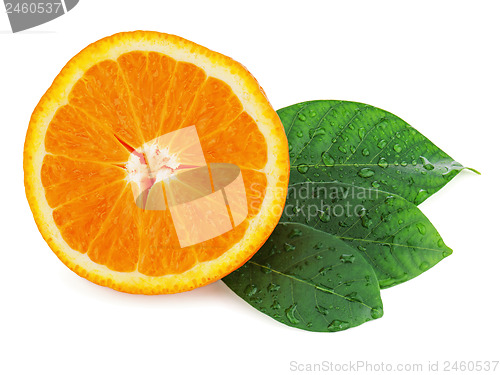 Image of Fresh orange fruit with green leaves isolated on white backgroun