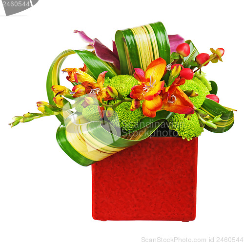 Image of Bouquet from orchids in red vase isolated on white background. 