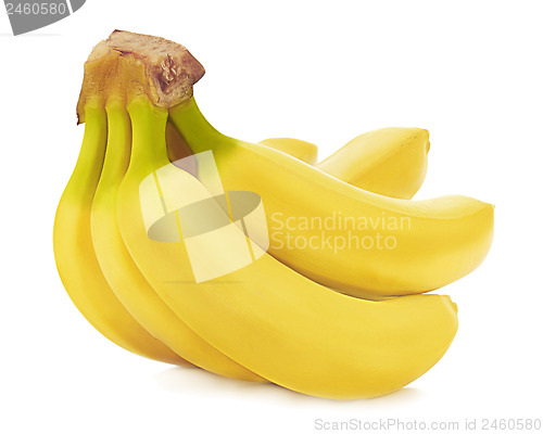 Image of Bunch of bananas isolated on white background.