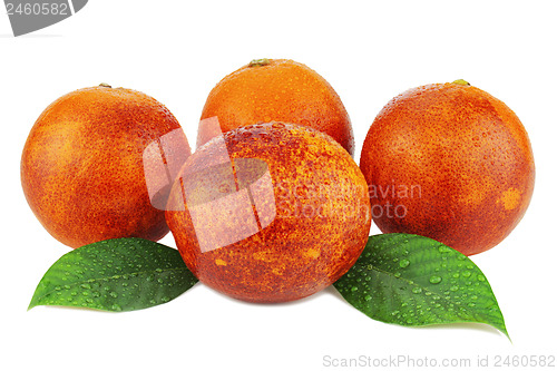Image of Ripe red blood oranges with green leaves isolated on white backg