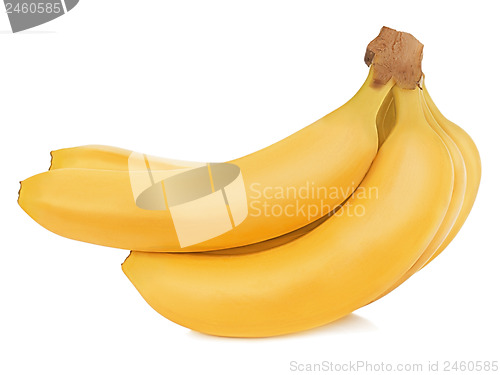 Image of Bunch of bananas isolated on white background. Closeup.