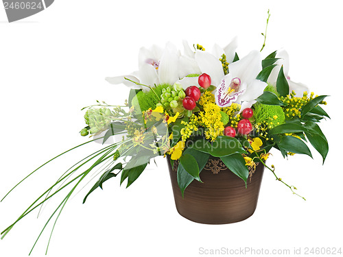 Image of Bouquet from orchids in dark vase isolated on white background.