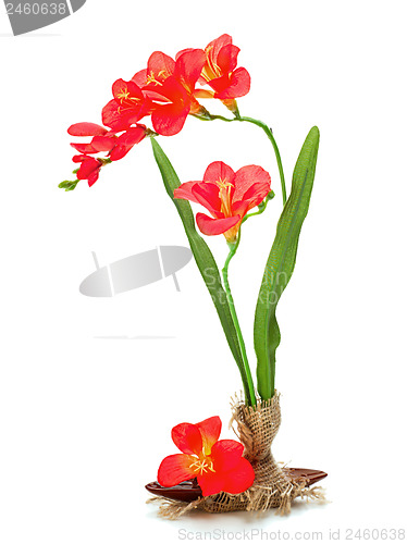 Image of Still life from artificial freziya flowers.