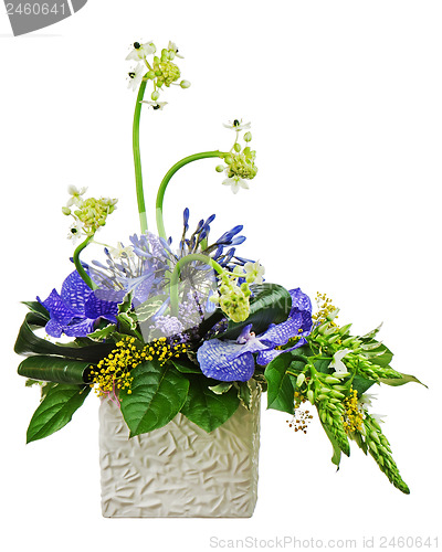 Image of Bouquet from orchids and Arabian Star flower (Ornithogalum arabi