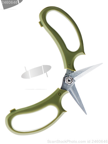 Image of Garden secateurs isolated on a white background.