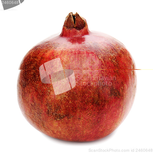 Image of Ripe pomegranate fruit isolated on white background. Closeup.