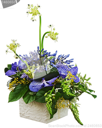 Image of Bouquet from orchids and Arabian Star flower (Ornithogalum arabi