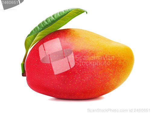 Image of Fresh mango fruit with green leaves isolated on white background