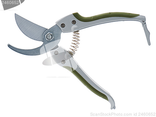 Image of Garden pruner isolated on a white background.