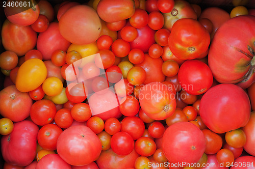 Image of Red and yellow tomatoes background.