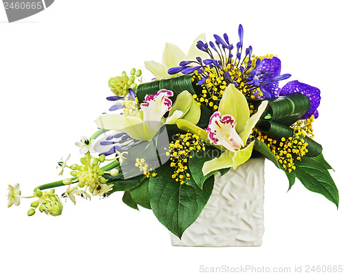 Image of Bouquet from orchids and Arabian Star flower (Ornithogalum arabi