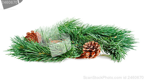 Image of wreath of fir branches isolated on white background, selective f