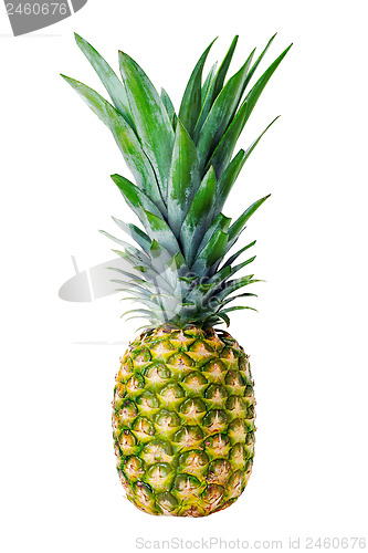 Image of ripe whole pineapple isolated on white background